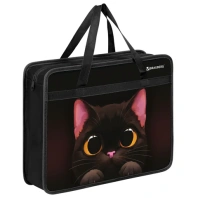 Папка на молнии с ручками BRAUBERG А4, 1 отделение, пластик, 80 мм, "Big black cat", 274495