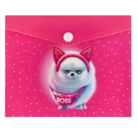 Конверт на кнопке  с рисунком А6 (170*140мм) "Босс шпиц"