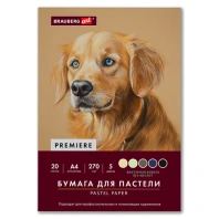 Бумага для пастели ФАКТУРНАЯ А4 в папке, 20 листов 5 цветов, 270 г/м2, BRAUBERG ART,, 117755