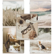 Тетради ДЭК А5 48 л. КОМПЛЕКТ 5 шт. BRAUBERG, скоба, клетка, SoftTouch, "ESTHETICS", 404929