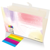 Папка-органайзер на кнопке 5 отделений, BRAUBERG "Extra", А4, пастельные узоры, 274100