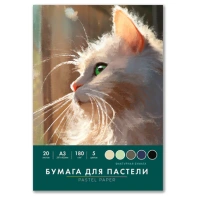 Бумага для пастели БОЛЬШАЯ А3 в папке, 20 листов 5 цветов, 180 гр/м2, BRAUBERG ART CLASSIC, 116346