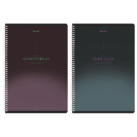 Тетради ДЭК А4 96 л. КОМПЛЕКТ 2 шт. BRAUBERG гребень, клетка, SoftTouch, "Peaceful", 404875