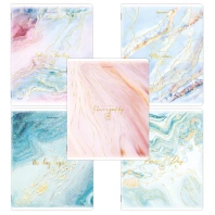Тетради КОМПЛЕКТ 5 шт. А5, 48 л. BRAUBERG, скоба, клетка, SoftTouch, фольга, "Pastel Marble", 404398