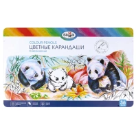 Карандаши цветные ГАММА "Классические", 36 цветов, металлический пенал, шестигранные, грифель 3,3 мм, натуральное дерево, 80220215 Карандаши цветные ГАММА "Классические", 36 цветов, металлический пенал, шестигранные, грифель 3,3 мм, натуральное дерево, 80220215