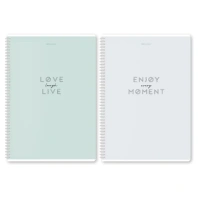 Тетради ДЭК А4 96 л. КОМПЛЕКТ 2 шт. BRAUBERG гребень, клетка, матовая ламинация, "Пастель_2", 404884