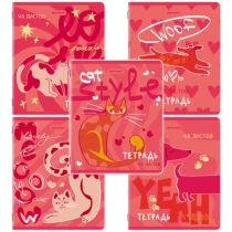 Тетради ДЭК А5 48 л. КОМПЛЕКТ 5 шт. BRAUBERG, скоба, клетка, TWIN-лак, "PINK MOOD", 404930