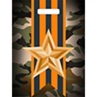 Пакет 40*31см (60мк) с вырубной ручкой "Отвага" Глянец ПВД