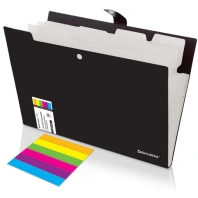 Папка-органайзер на кнопке 5 отделений, BRAUBERG "Extra", А4, черная с белым, 274094